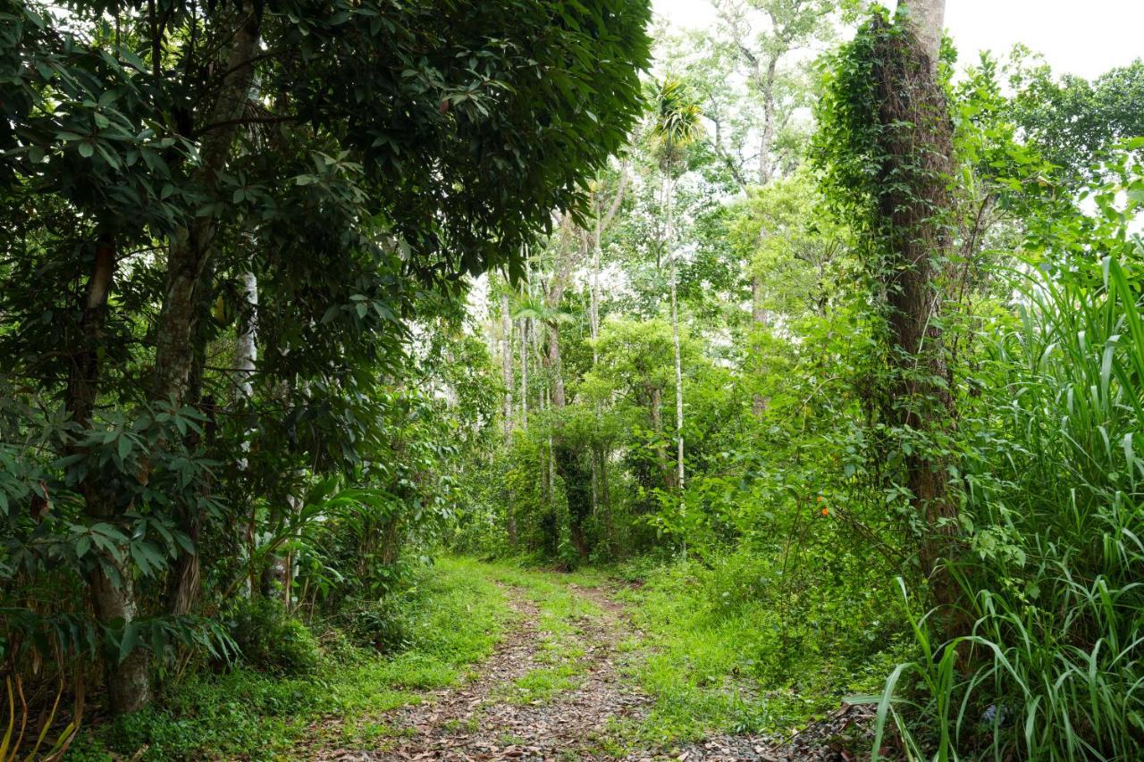 Mystic Trees, Kumily Apartment Thekkady Exterior photo